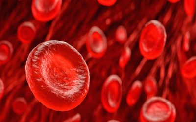 যা খেলে বাড়বে রক্তের হিমোগ্লোবিন