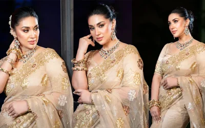 সোনালি সাজে-ভিন্নরূপে-মোহময়ী সৌন্দর্যে অপু বিশ্বাস