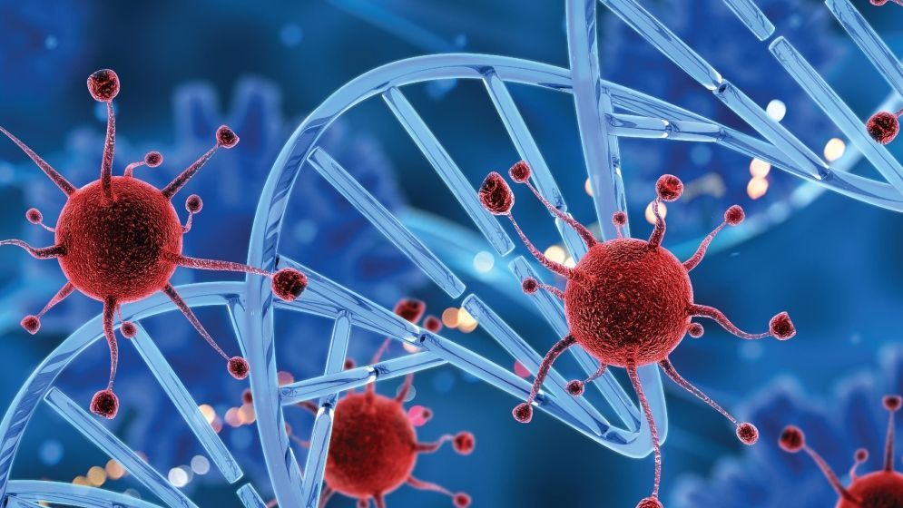 ক্যানসার চিকিৎসা : জীবন বাঁচাতে দরকার সমন্বিত স্বাস্থ্য ব্যবস্থা