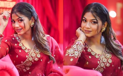 চেষ্টা করেছি গল্পের আবেগটা তুলে ধরতে – পারসা