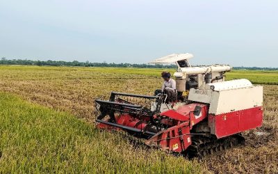 তেলের দাম বৃদ্ধিতে দুশ্চিন্তায় সুনামগঞ্জের কৃষকরা